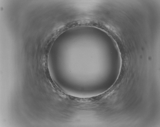 X0000059231445200510281853