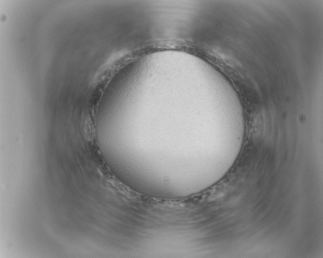 X0000059231446200510281853