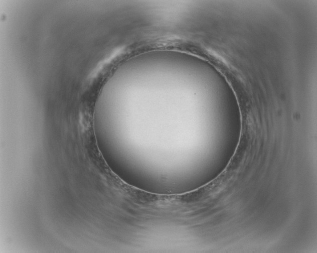 X0000059231447200510281853