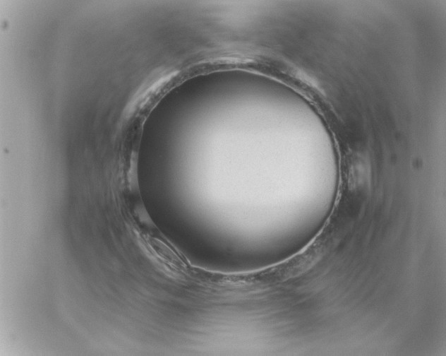 X0000059231448200510281853