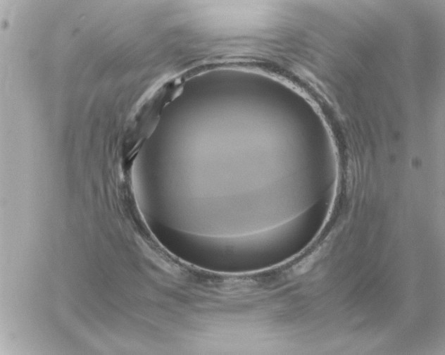 X0000059231449200510281853