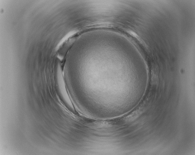 X0000059231450200510281853