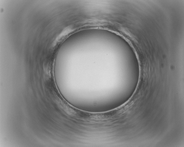 X0000059231451200510281853