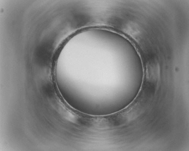 X0000059231452200510281853