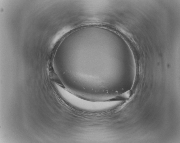 X0000059231453200510281853