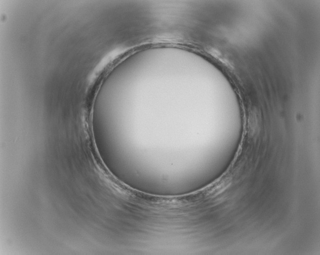 X0000059231454200510281853