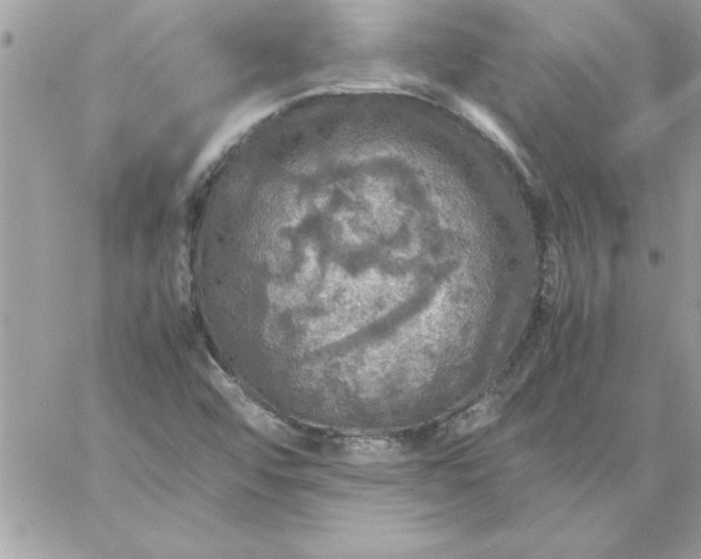 X0000059231456200510281853