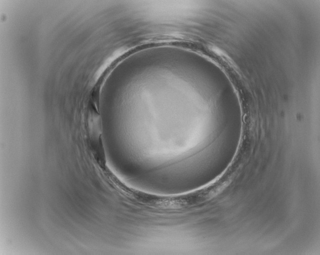 X0000059231457200510281853