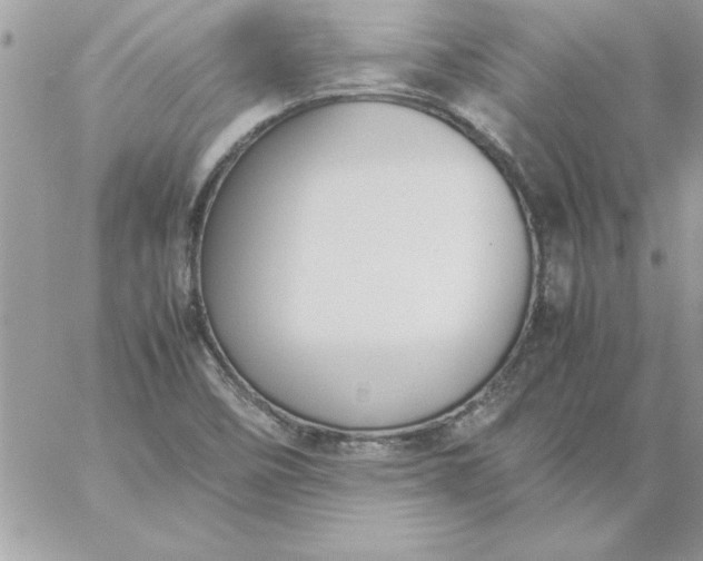 X0000059231458200510281853