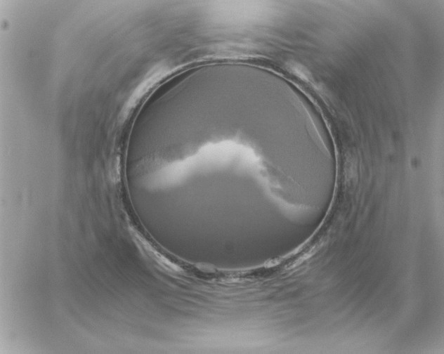 X0000059231459200510281853