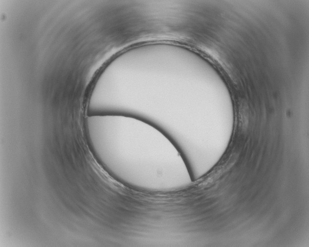 X0000059231460200510281853