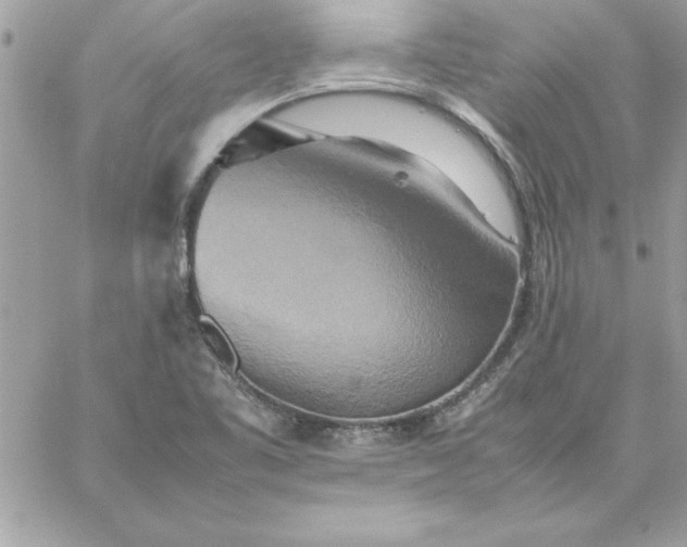 X0000059231461200510281853