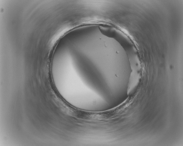 X0000059231463200510281853