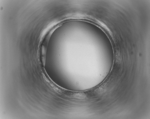 X0000059231464200510281853