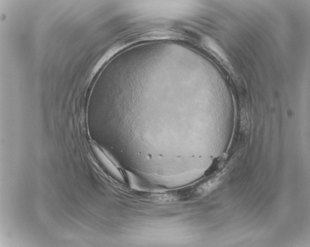 X0000059231465200510281853