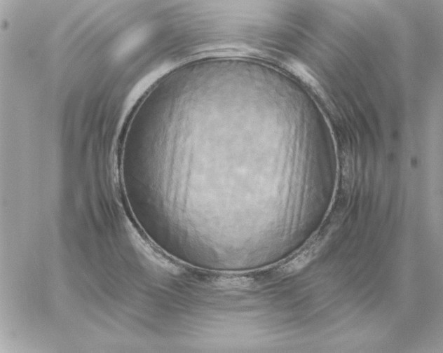 X0000059231466200510281853