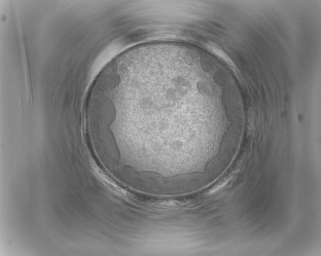 X0000059231467200510281853