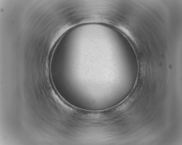 X0000059231468200510281853