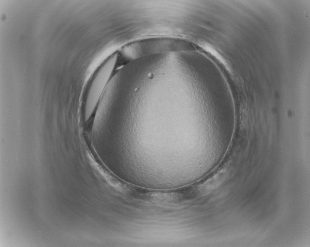 X0000059231469200510281853