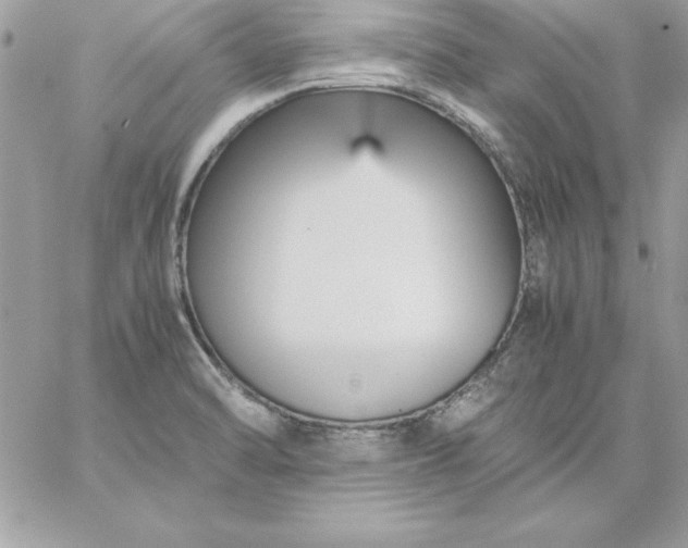 X0000059231470200510281853