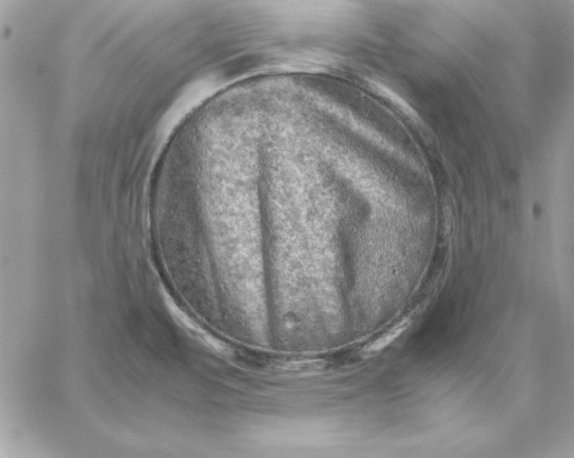 X0000059231471200510281853