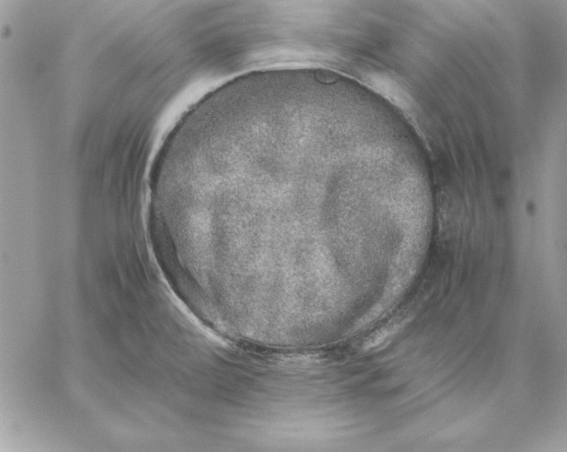 X0000059231472200510281853