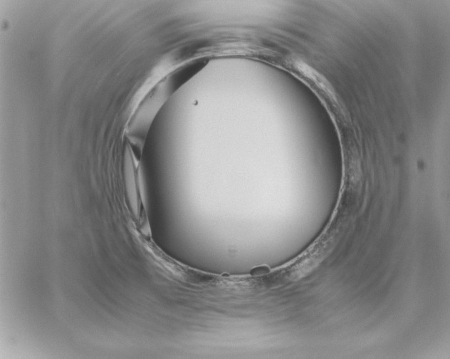 X0000059231473200510281853