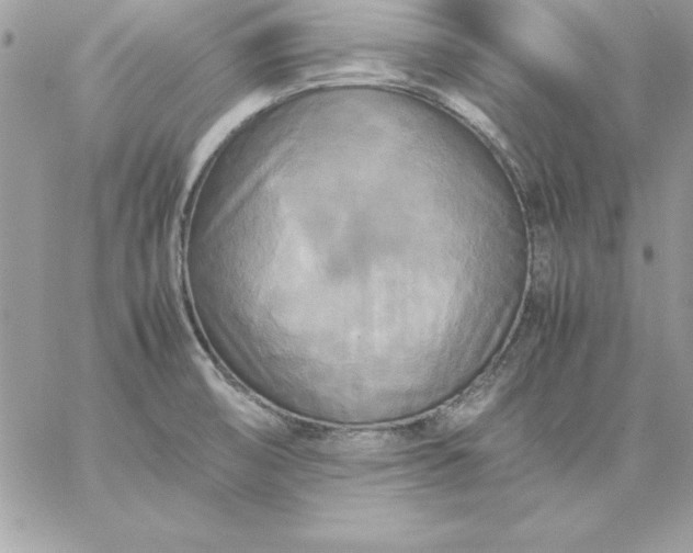 X0000059231474200510281853