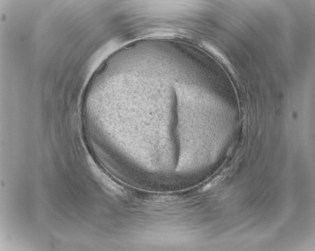 X0000059231475200510281853