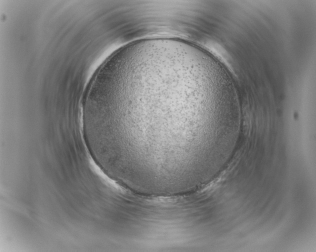 X0000059231476200510281853