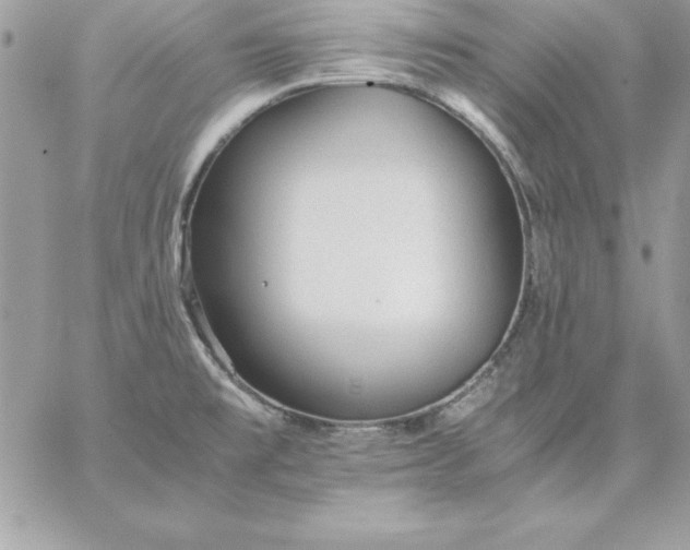 X0000059231477200510281853