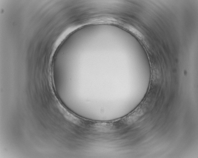 X0000059231478200510281853