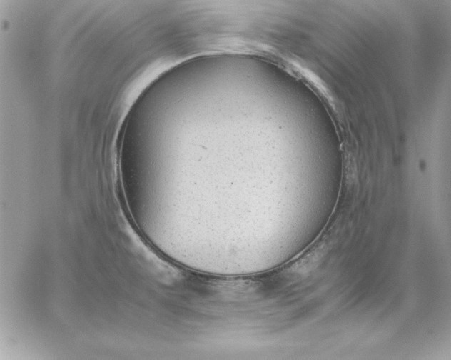 X0000059231479200510281853