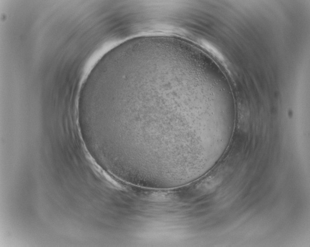 X0000059231480200510281853