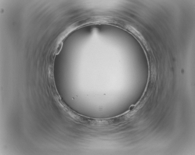 X0000059231481200510281853