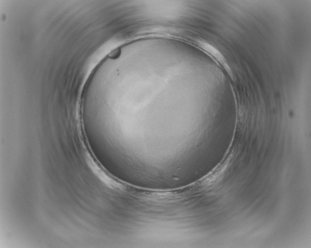 X0000059231482200510281853