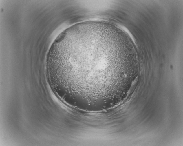 X0000059231483200510281853