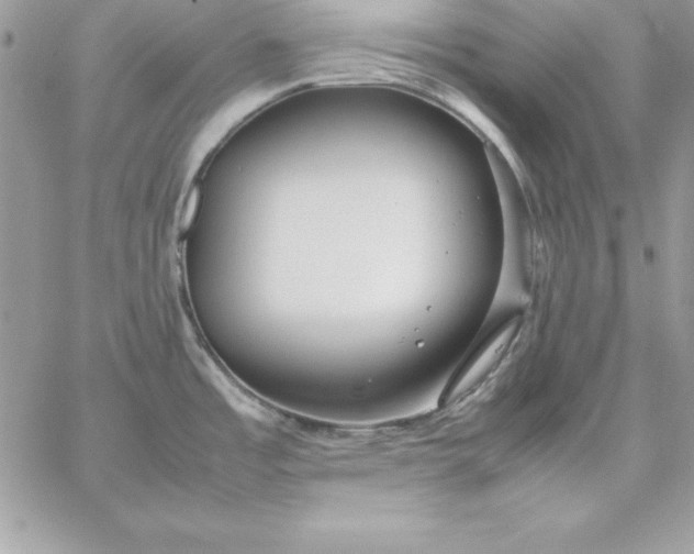 X0000059231485200510281853