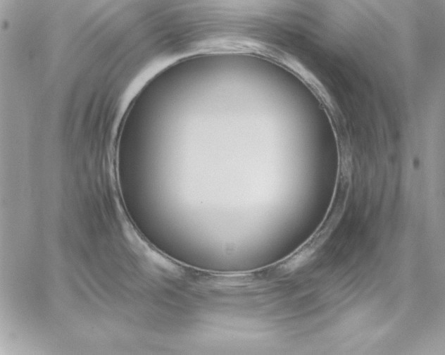 X0000059231486200510281853