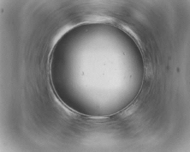 X0000059231487200510281853