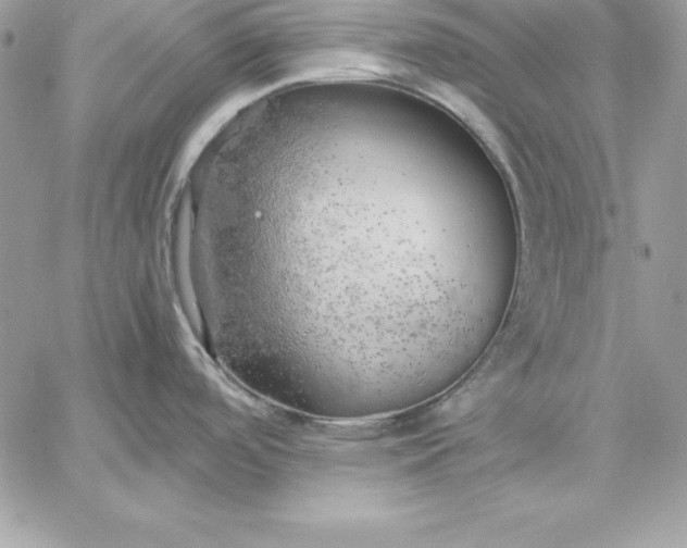 X0000059231488200510281853