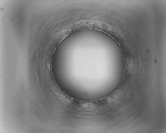 X0000059231489200510281852