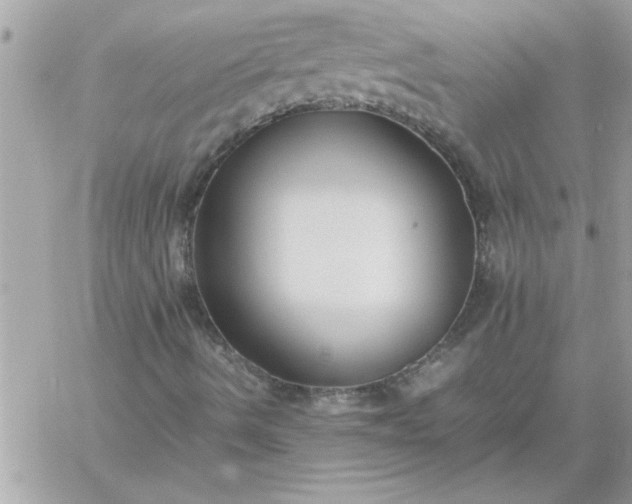 X0000059231490200510281852