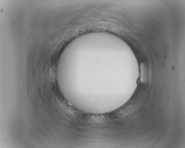 X0000059231491200510281852