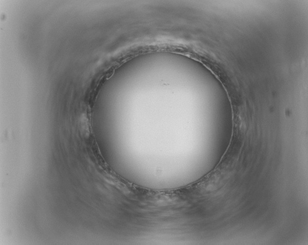 X0000059231493200510281852