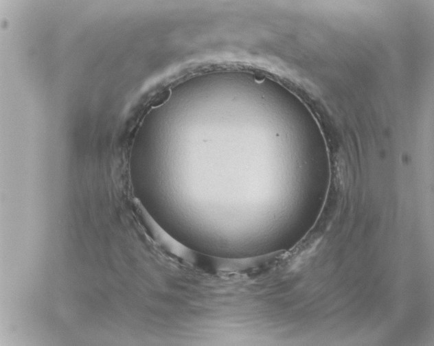 X0000059231494200510281852