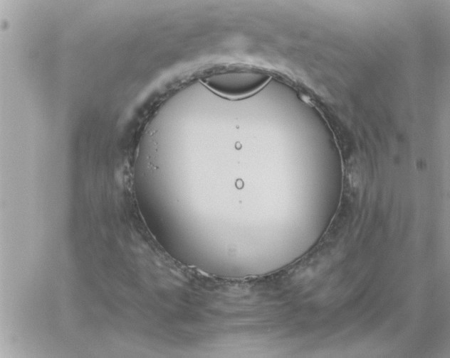 X0000059231495200510281852