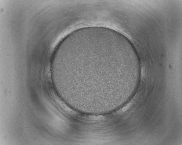 X0000059231498200510281852