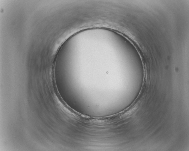 X0000059231500200510281852