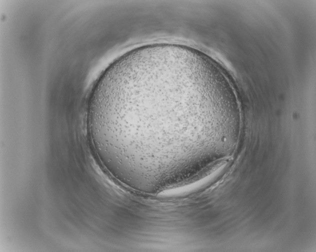 X0000059231504200510281852